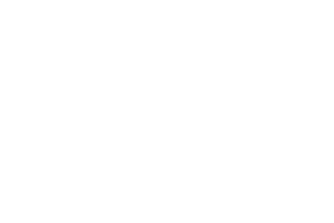 NUDISUR